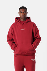 Hoodie take the risk 22974-BURG