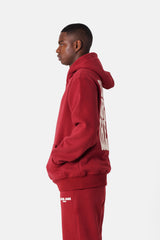 Hoodie take the risk 22974-BURG