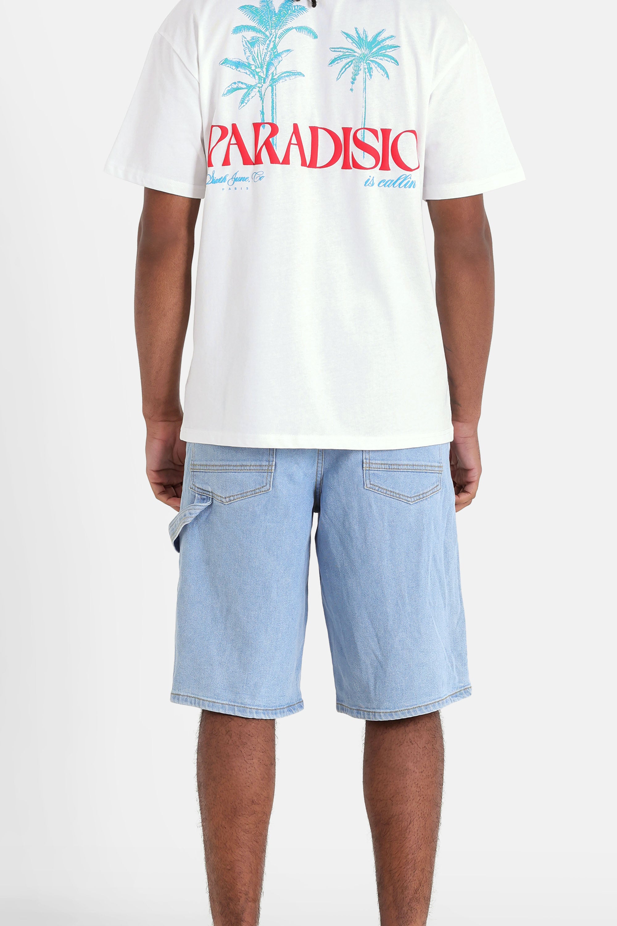 Carpenter Shorts 25604-LBLU
