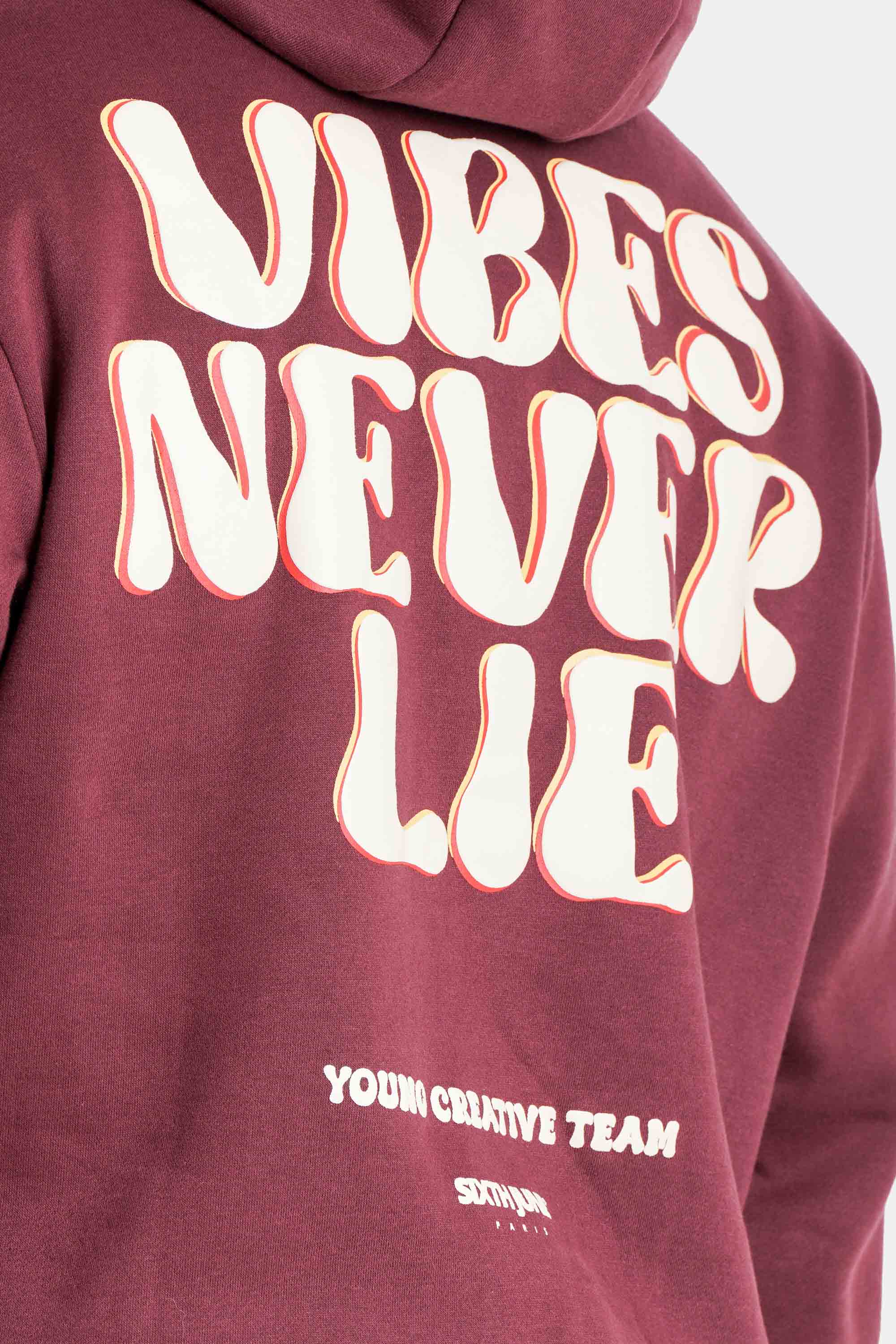 Vibes Never Lie Sixth June Back Retro Print Hoodie 25875-BURG